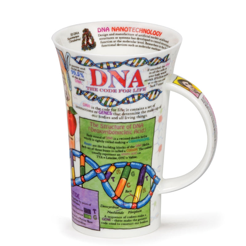 Henkelbecher DNA