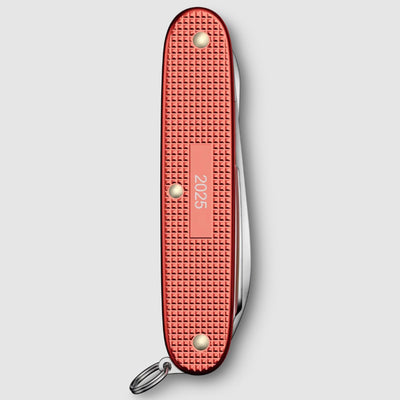 Pioneer X Alox Limited Edition 2025