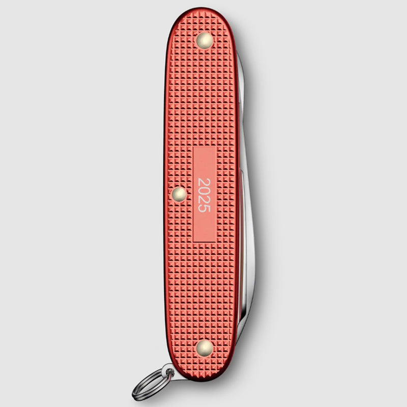 Pioneer X Alox Limited Edition 2025